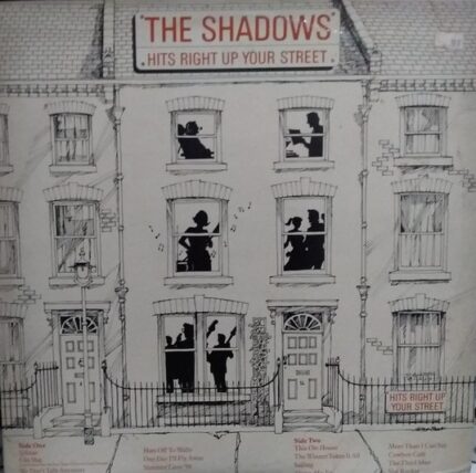 The Shadows  Hits Right Up Your Street    LP importado