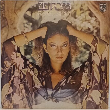 Zizi Possi - Pedaço de Mim