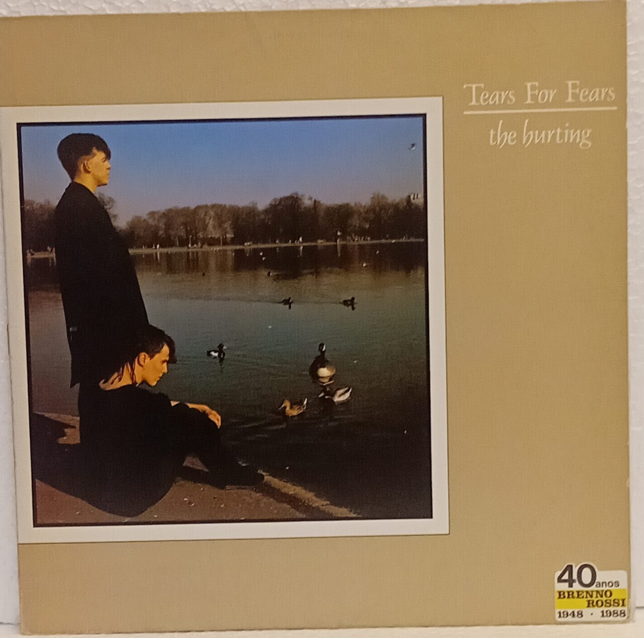 Tears for hurting 01 Tears for Fears - The hurting - Imagem 1